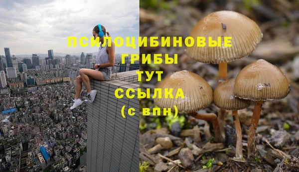 марки lsd Алексеевка