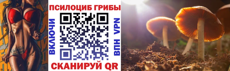 Галлюциногенные грибы Magic Shrooms Шахунья