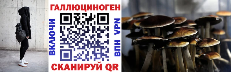 Псилоцибиновые грибы Psilocybe mega онион Шахунья
