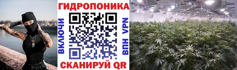 купить наркоту  Шахунья  Бошки марихуана Ganja 